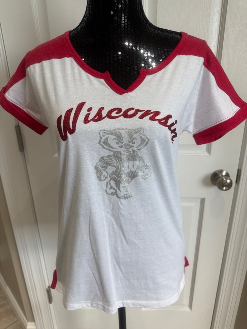 Badgers Wisconsin T-shirt